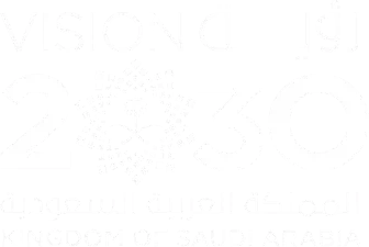 رؤية 2030، المملكة العربية السعودية